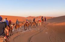 2 Days, 1 Night Luxury Desert Trip (Fes to Fes Or Marrakech)