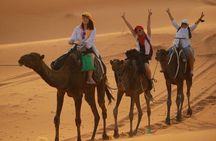 2 Days, 1 Night Luxury Desert Trip (Fes to Fes Or Marrakech)
