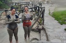 Rainforest-sloths-frogs-hanging toast-mud bath-hotspring