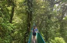 Rainforest-sloths-frogs-hanging toast-mud bath-hotspring