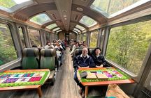 Unforgettable 1 Day Machu Picchu Tour by Vistadome Train