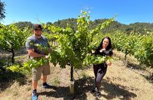 Sonoma Wine Country Electric Trike Tour - 3 hours