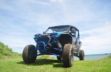 Northern Sights - Buggy in the North