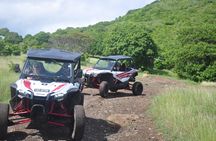 Northern Sights - Buggy in the North