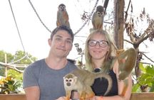 Puerto Plata City Tour with Monkeys