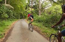 Rainforest Cycling Adventure in St. Lucia