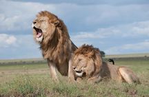Aquila Game Reserve Sunset Safari 