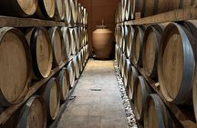 Private Daytrip for Truffle Mushroom Foraging and Wine Tasting