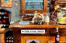 Private Daytrip for Truffle Mushroom Foraging and Wine Tasting