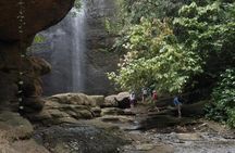 Rainforest Hike