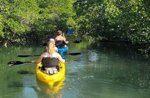 Kayak through Mangrove Forests in the Florida Keys