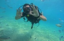 Scuba Diving , Snorkeling , and Swimming in Jeddah 