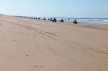 Essaouira 3 Hours in Quad