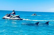 2 Hour Shell Island Jet Ski Dolphin Tour