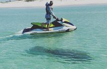 2 Hour Shell Island Jet Ski Dolphin Tour