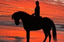 Horseback riding at sunset (2 hours)