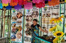 Cozumel: Shore Excursions for Carnival Cruise Passengers