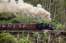 Half-Day Puffing Billy Steam Train Experience