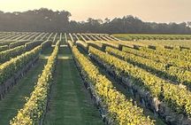 Long Island Wine Tour North Fork Sights, Bites & Flights Full-Day