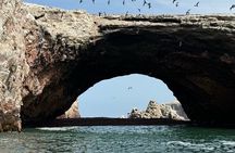 Premium Full Day to Ballestas Islands & Huacachina Oasis
