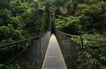 Arenal Tour Including Hanging Bridges Volcano Hike and Waterfall