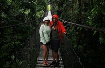 Arenal Tour Including Hanging Bridges Volcano Hike and Waterfall