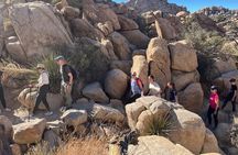 Private Sightseeing & Adventure tour of Joshua Tree National Park