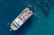 Experiencia Visión Submarina en el Cap de Creus más Natación 
