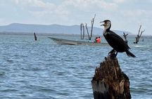Hell's Gate Park and Lake Naivasha Day Tour 