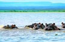 Hell's Gate Park and Lake Naivasha Day Tour 