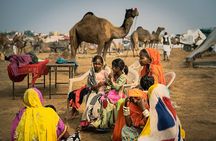 Jaipur to Pushkar Day Trip with Lakeside Lunch