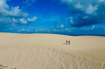 Fuerteventura North with Tapas 