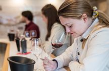 Private wine tasting workshop in Bourgogne