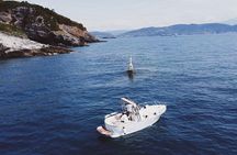Palmaria Island Tino Tinetto Boat Ride From Portovenere