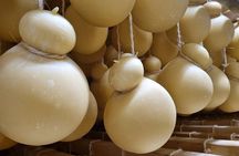 E-bike Tour of Locorotondo & Martina Franca with Dairy Visit