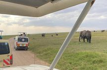 Day Tour to Amboseli National Park