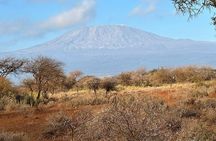 Day Tour to Amboseli National Park