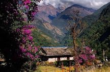 Pokhara: Day Hike at Annapurna Mountain Foothills