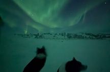 Northern Lights Minibus Chase Max 16 Person In Group