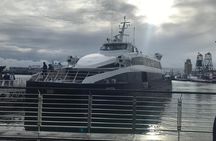 Robben Island Half Day Tour With Pre Booked Ticket (s)