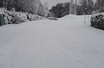 From Tallinn Learn to Ski in Estonia Cross Country Skiing