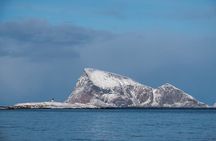 Tromsø: Kvaløya & Sommarøy Guided Fjord Tour with Lunch