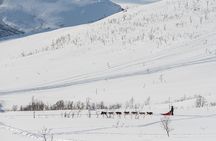 Tromsø: Kvaløya & Sommarøy Guided Tour