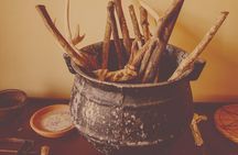 The Paranormal Museum Tour A Truly Haunting Experience
