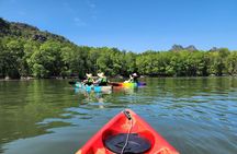 Langkawi Mangrove Kayak Tour by Sham