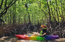 Langkawi Mangrove Kayak Tour by Sham