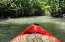 Langkawi Mangrove Kayak Tour by Sham
