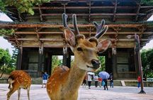 Kyoto and Nara Day Tour with Wagyu “Kobe Beef” lunch: From Kyoto