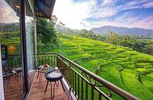 Multi Day Tour at Hanoi Pu Luong Nature Reserve Adventure
