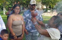 Atv Tour in Cozumel 4 Hours Adventure Relax And Tasting